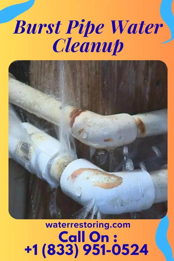 Burst Pipe Water Cleanup in Harris, MN