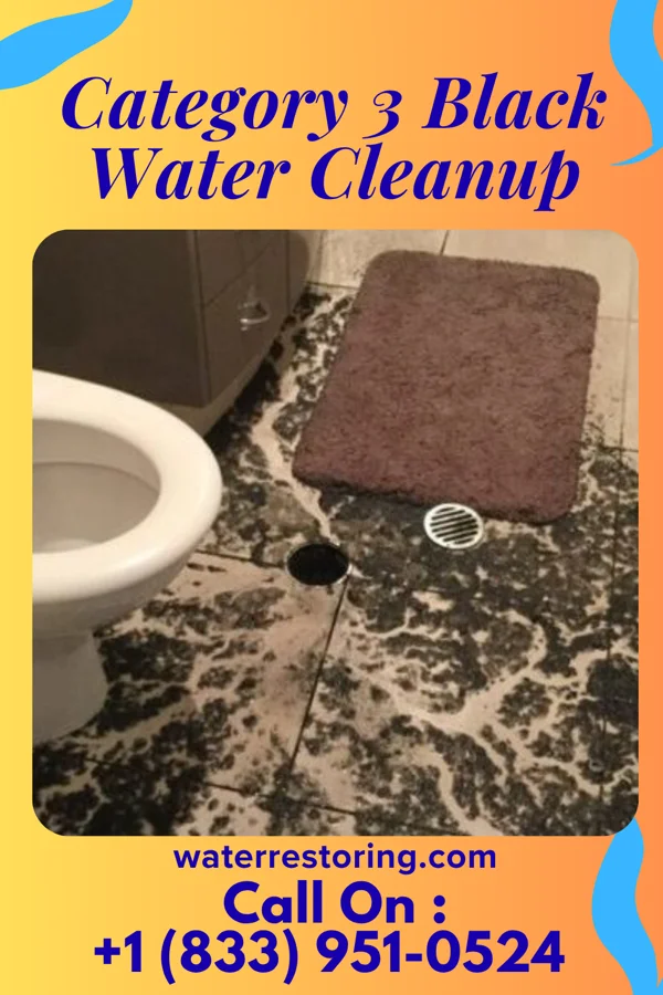 Category 3 Black Water Cleanup in Harris, MN