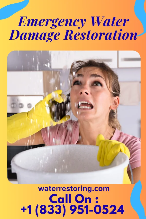 Emergency Water Damage Restoration in Harris, MN