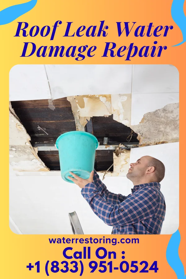 Roof Leak Water Damage Repair in Harris, MN